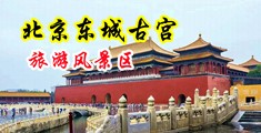 骚货被黑人操视频中国北京-东城古宫旅游风景区